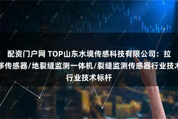 配资门户网 TOP山东水境传感科技有限公司：拉线位移传感器/地裂缝监测一体机/裂缝监测传感器行业技术标杆