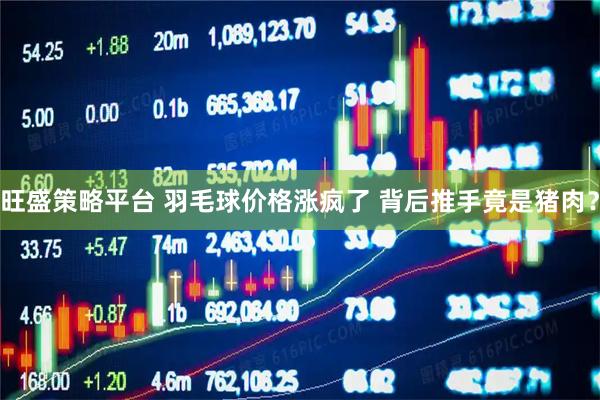 旺盛策略平台 羽毛球价格涨疯了 背后推手竟是猪肉？